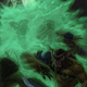 Illustration for article titled Everything You Need to Know about the 5th Edition iDD Players Handbook/i
